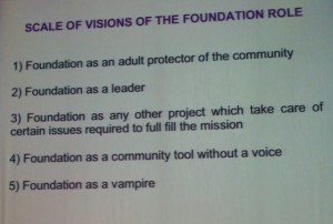 Role of Foundation - Mayo Fuster Morell