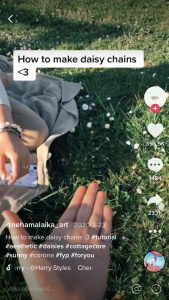 TikTok screenshot of a field of white flowers and an outstretched hand